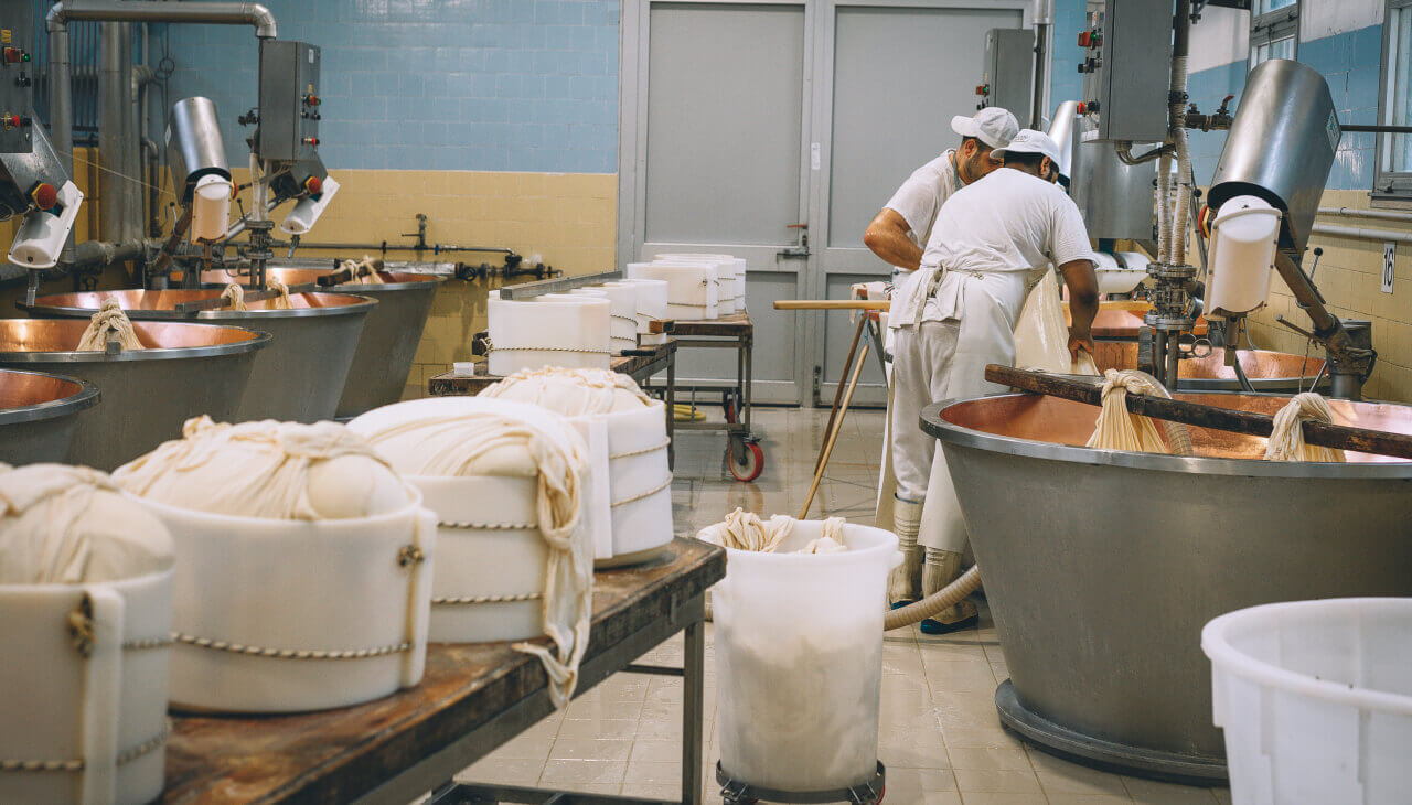 Factory workers working in a production line